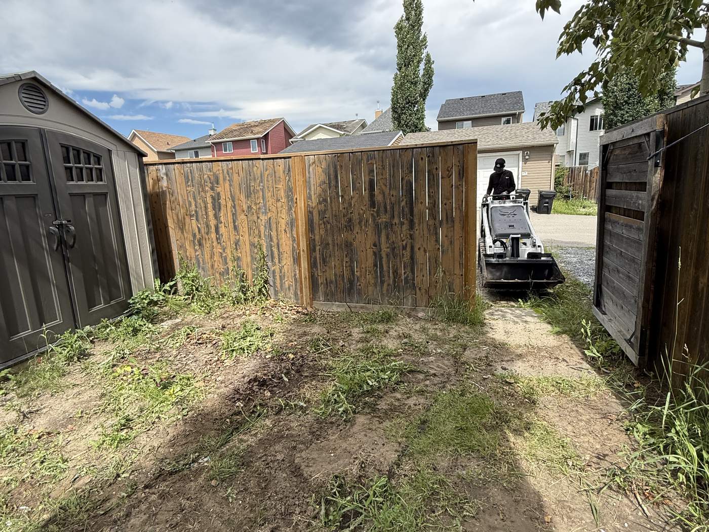 Auburn Bay back yard on the first day of the work: weeds and bare ground between the shed and the fence, our Bobcat MT100 at the gate