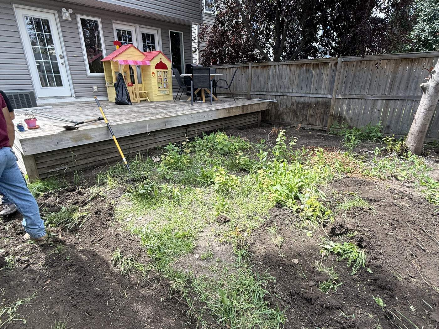 The deck side of the back yard on day one: weeds and churned soil in front of the deck