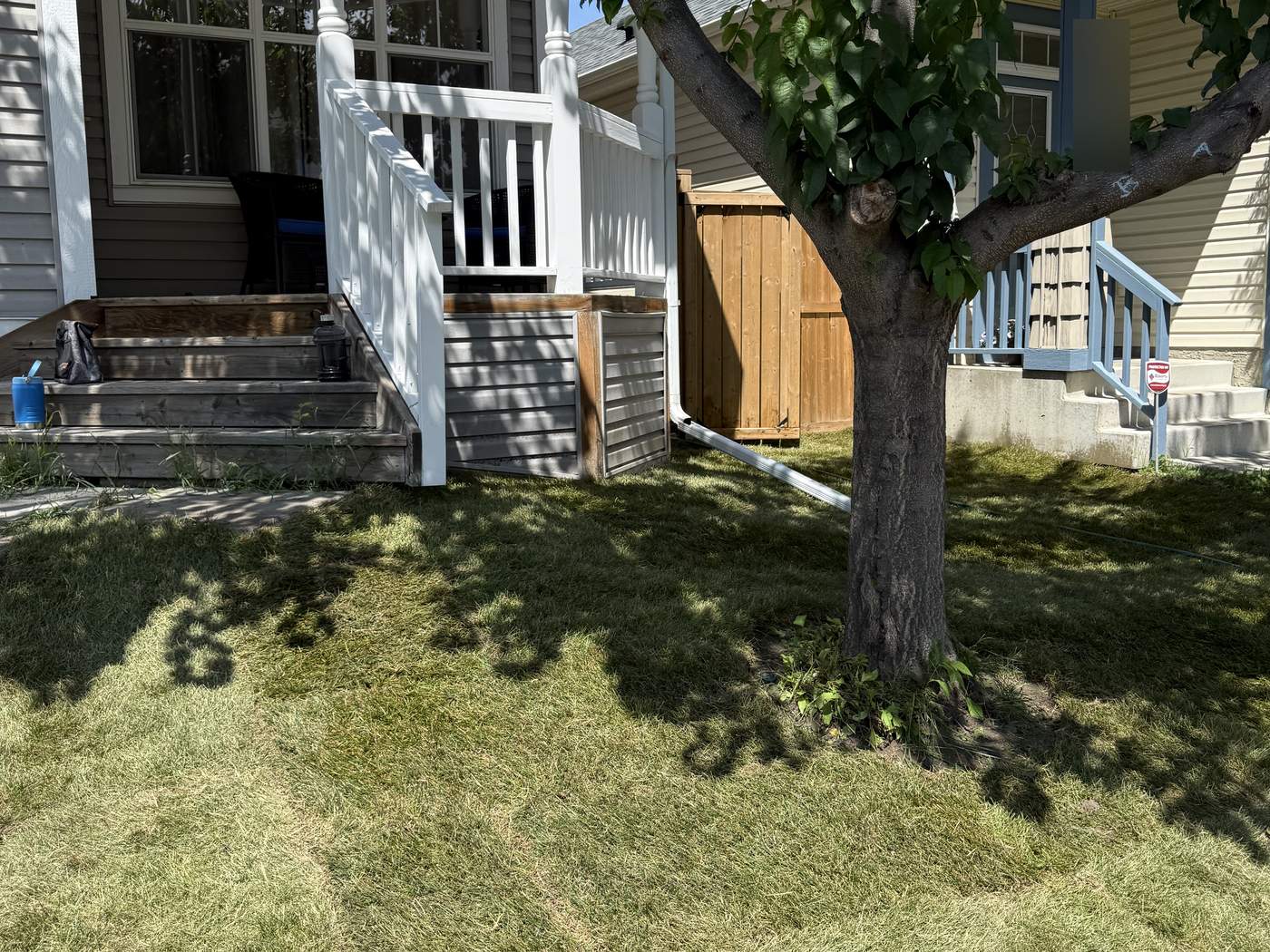 The Auburn Bay front lawn in new sod under the front-yard tree, the porch behind