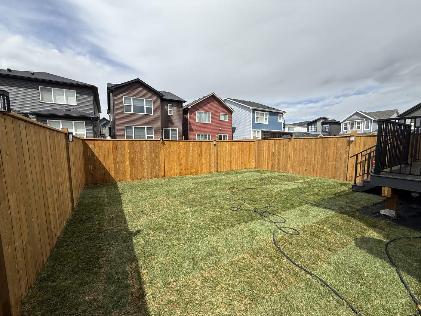 Carrington back yard in new sod from the fence to the deck, a soaker hose across the lawn