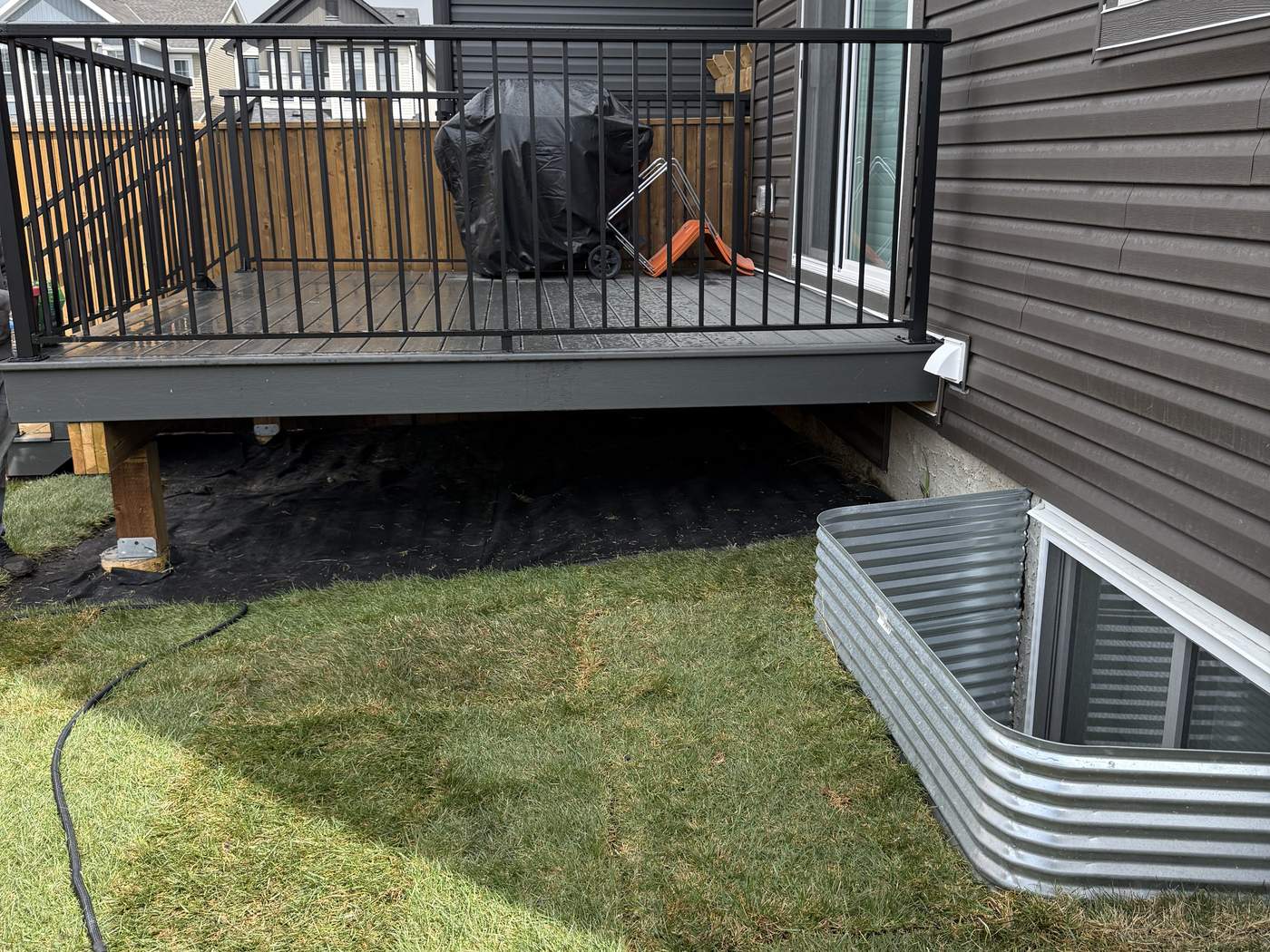 New sod laid up to the deck and around the window well beside the house