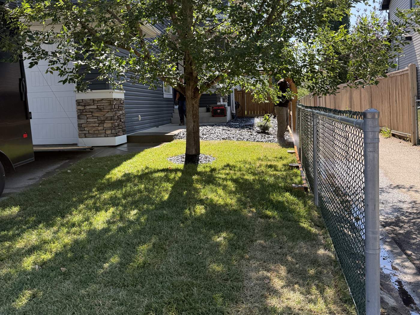 The Chaparral front lawn in new sod around a mature tree with a clean mulch ring