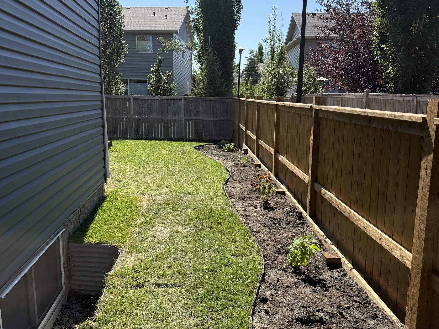 A strip of new sod along the side of the house, curving beside a planted bed along the fence