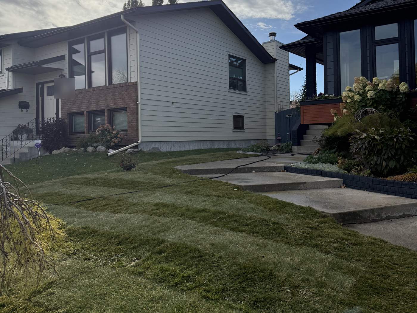 The same front yard that afternoon, new sod laid and rolled