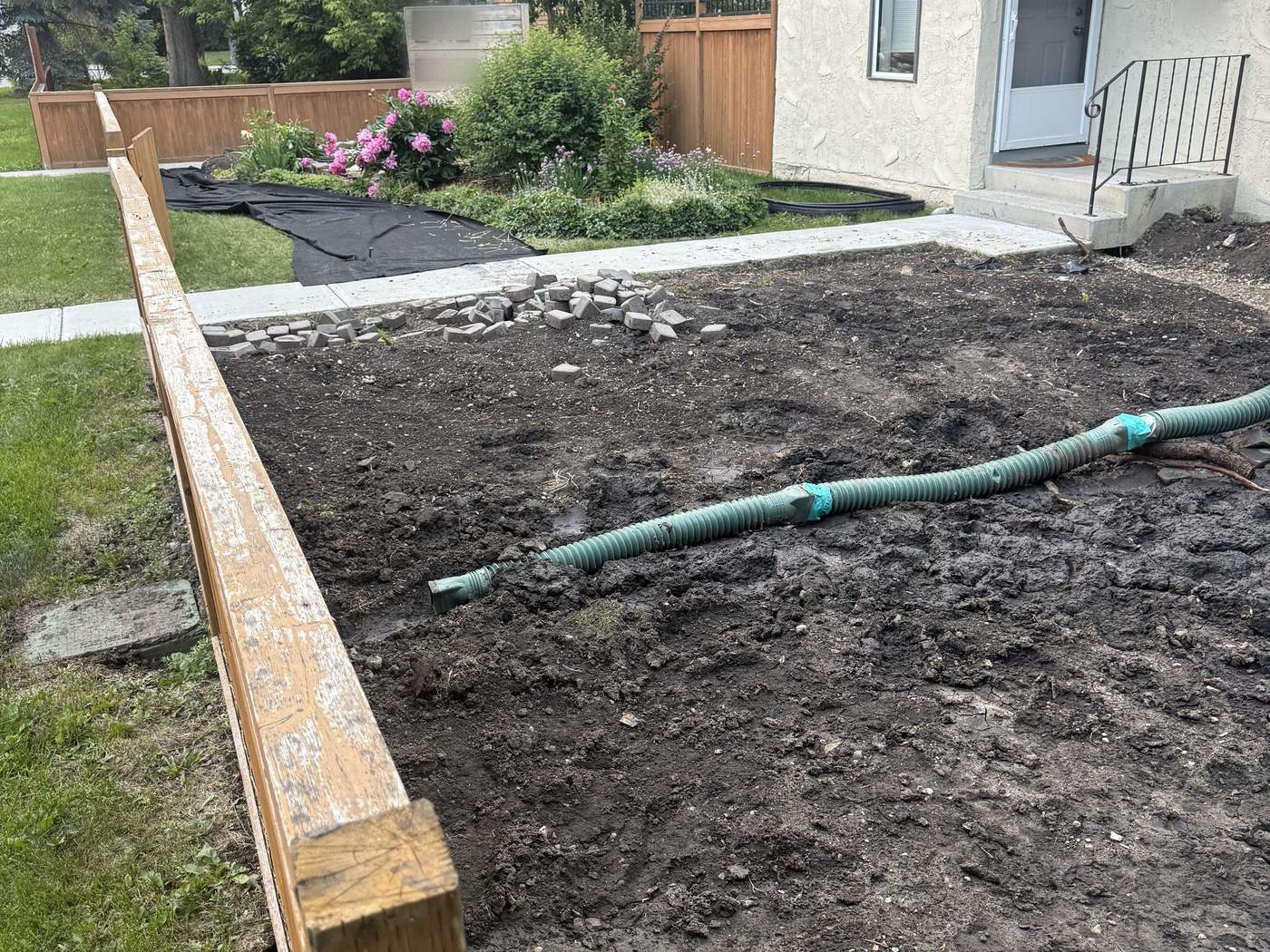 The front yard as bare, regraded soil beside the walk and the building, a downspout hose across it