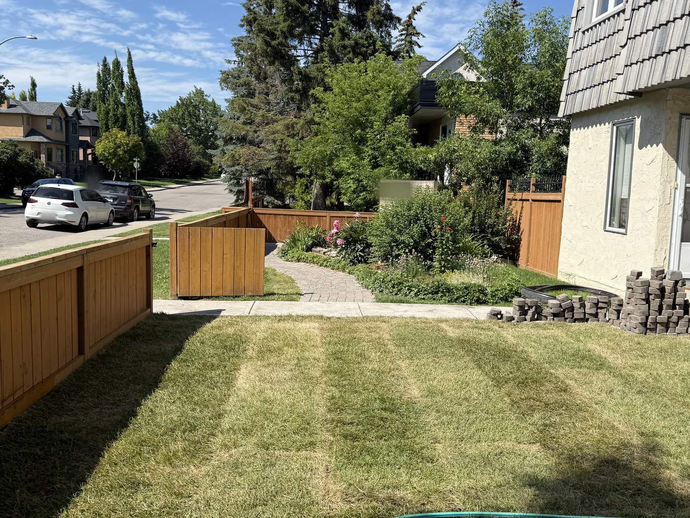The front lawn in new sod after the regrade, the fence and front garden behind