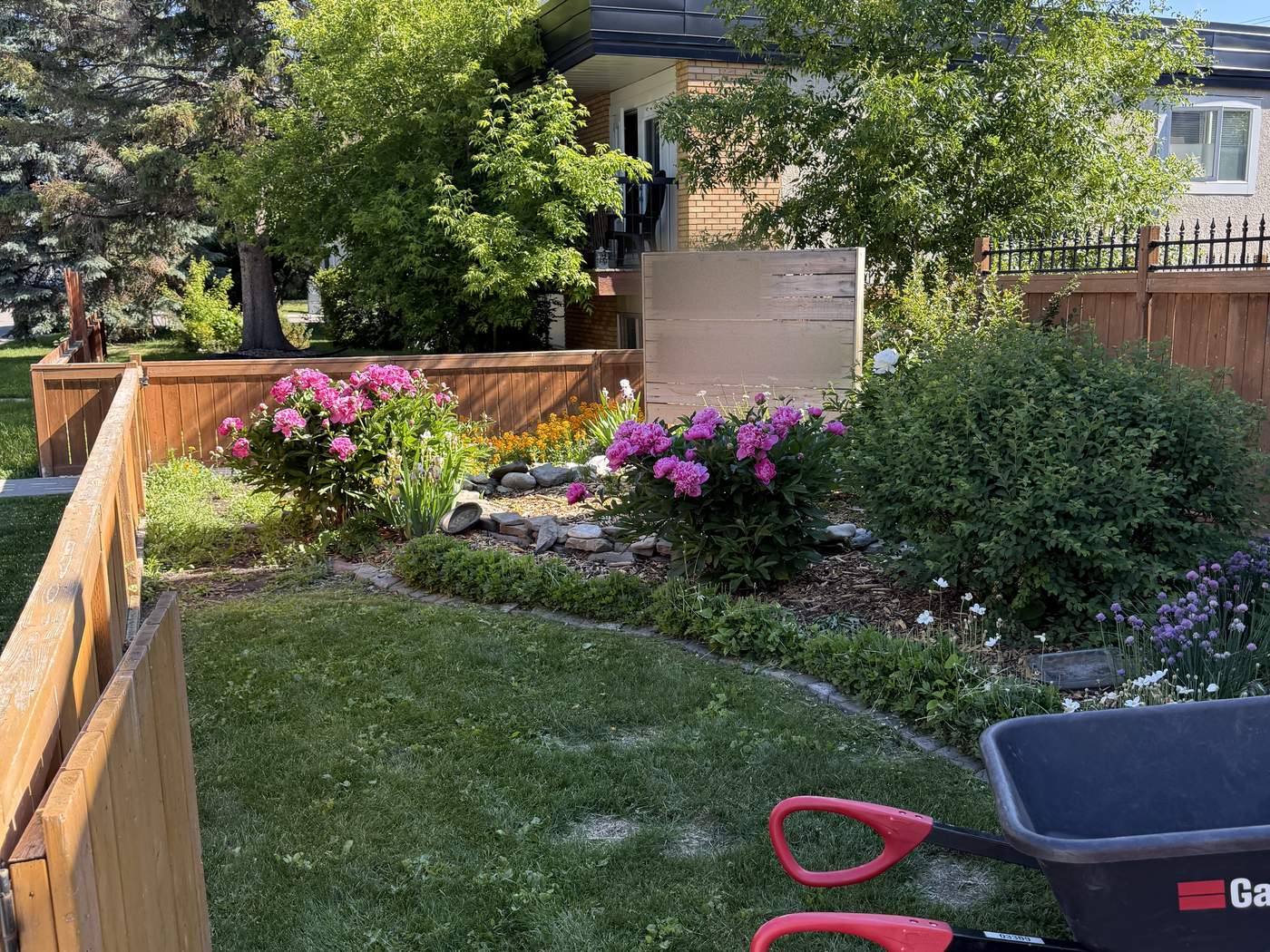 Front garden of a 10-unit complex in Killarney before the work: lawn and a flower bed beside the house-number sign, a wheelbarrow in the foreground