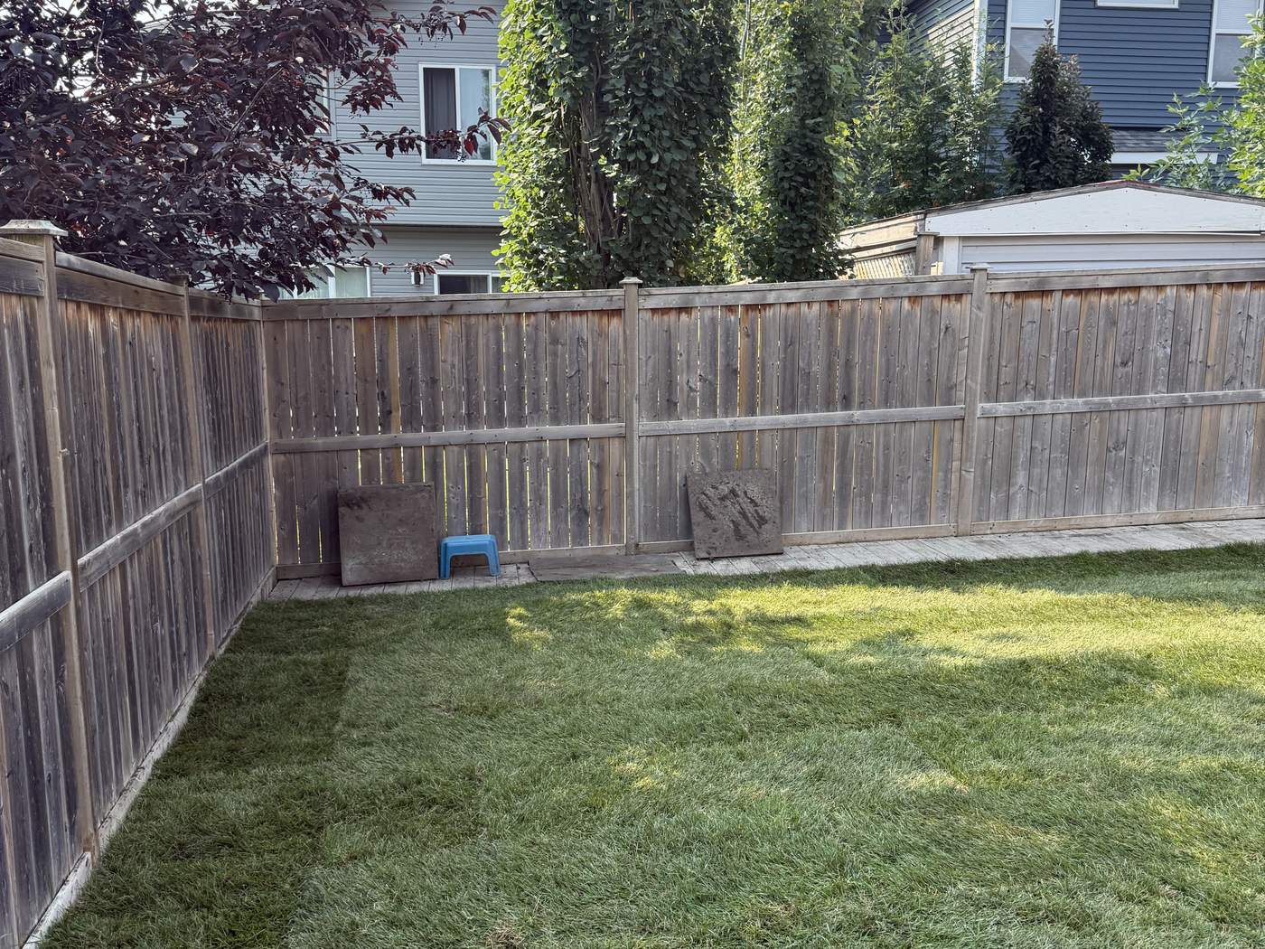 The same corner of the back yard in new sod, the fences behind