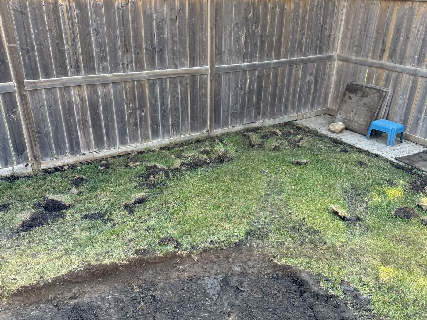 Sage Hill back yard as the old lawn came out: patchy, worn turf in the corner by the fence and stripped ground in front