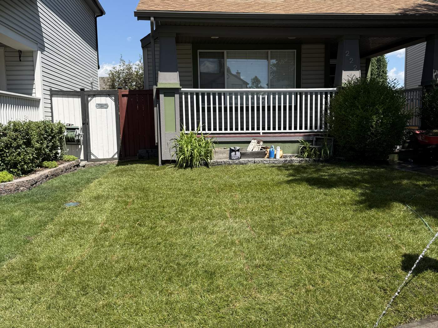 The same front yard with the roots gone and fresh sod across the whole lawn