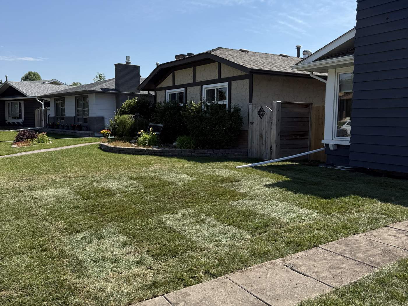 The finished Sundance front lawn in new sod, seams still showing, along the front walk