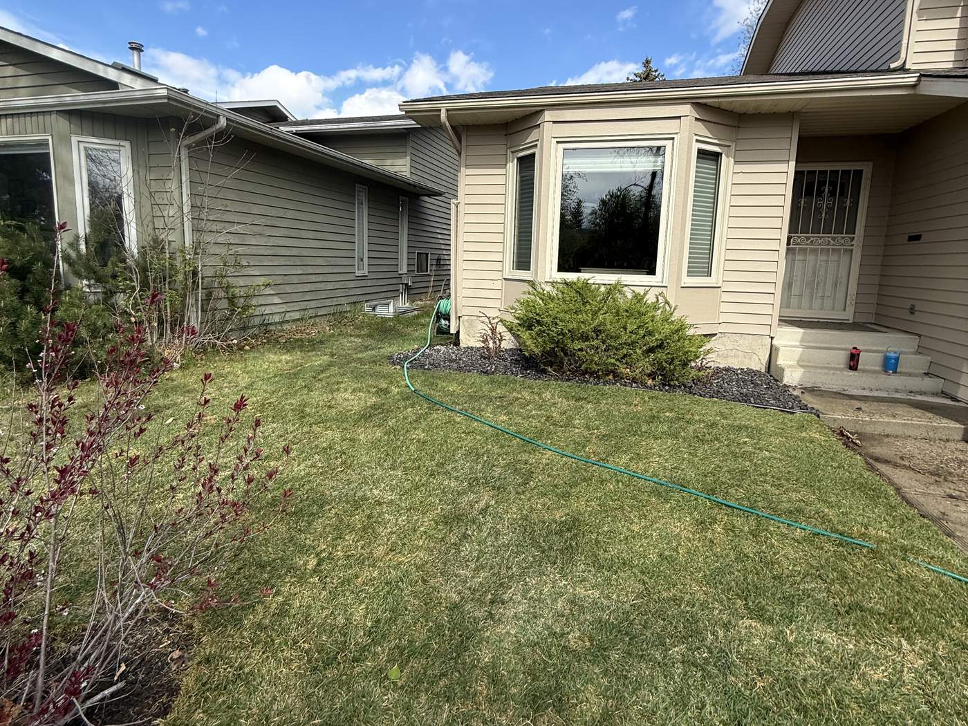 Sundance front yard in new sod, with a rock bed under the bay window around a juniper