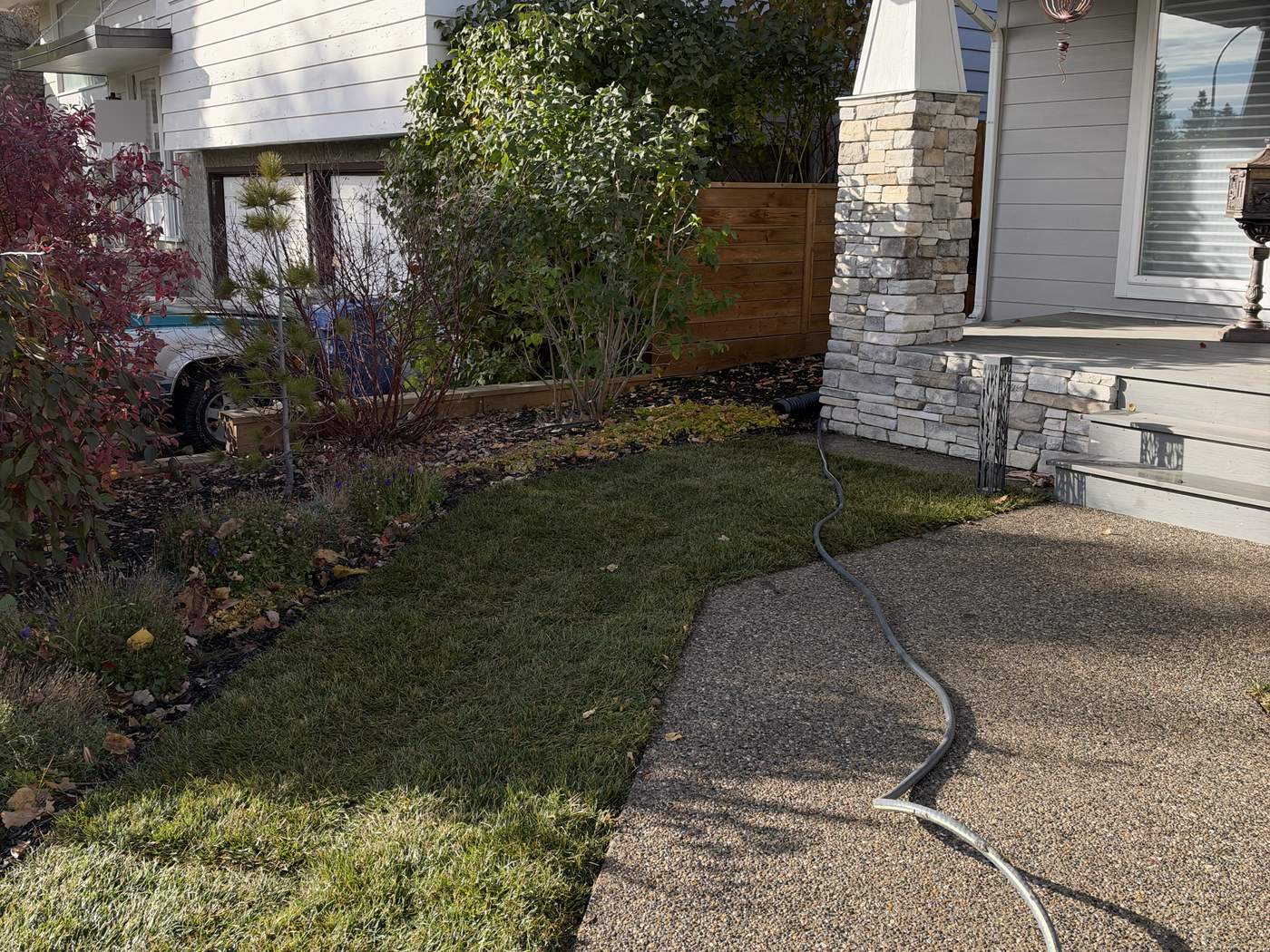 The same front yard that afternoon: new sod along the walk, fitted to the beds