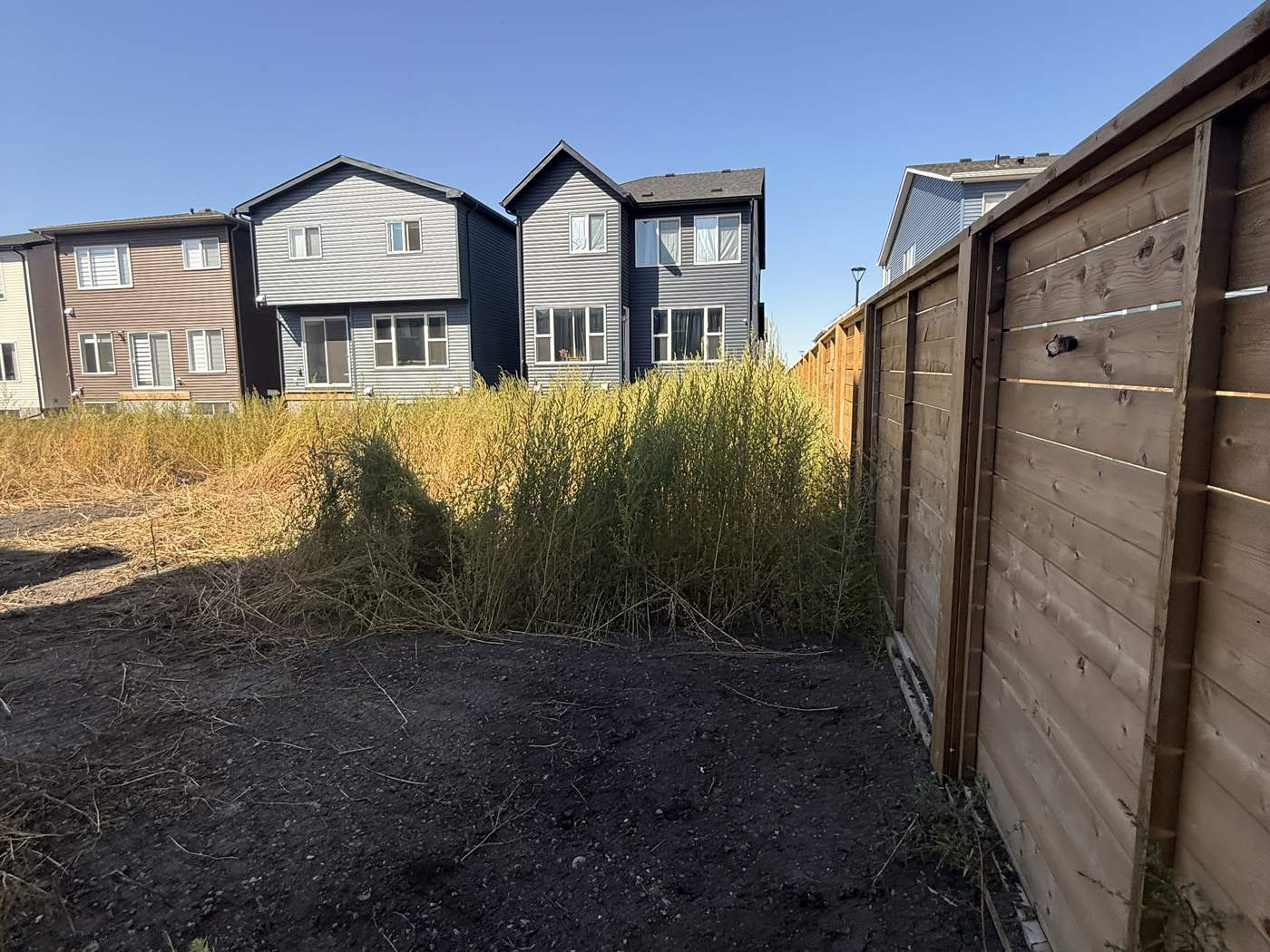 Back yard overgrown with weeds, new fence already in