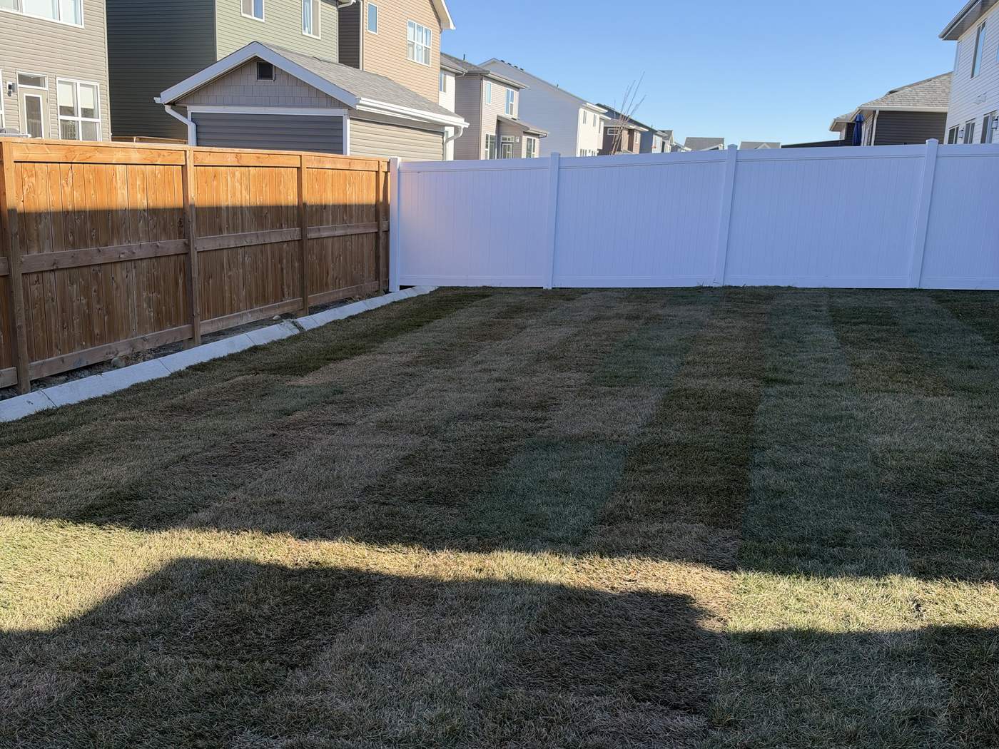 The same yard in new sod, cut clean to both fences