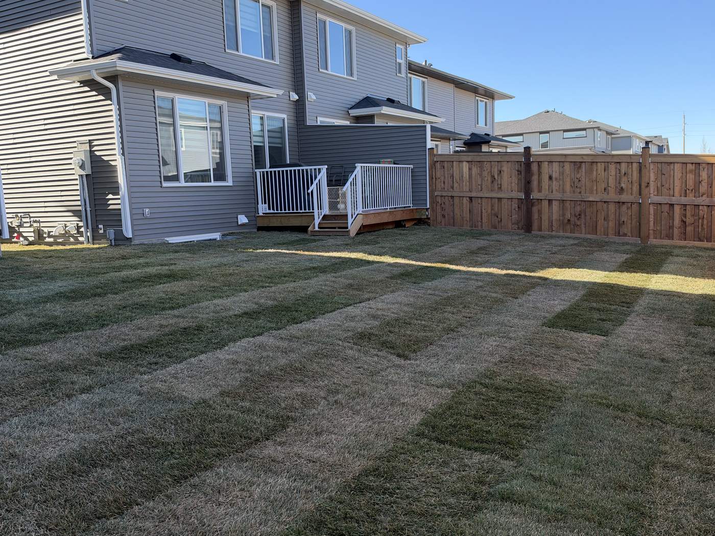 A Cochrane new-build back yard in new sod, with the deck and cedar fence behind