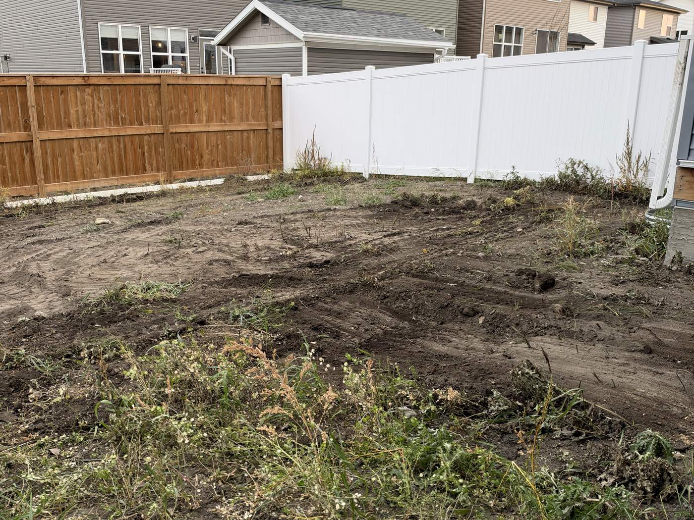 Cochrane new-build back yard before the work: weeds and bare builder grade between a cedar fence and a white vinyl fence