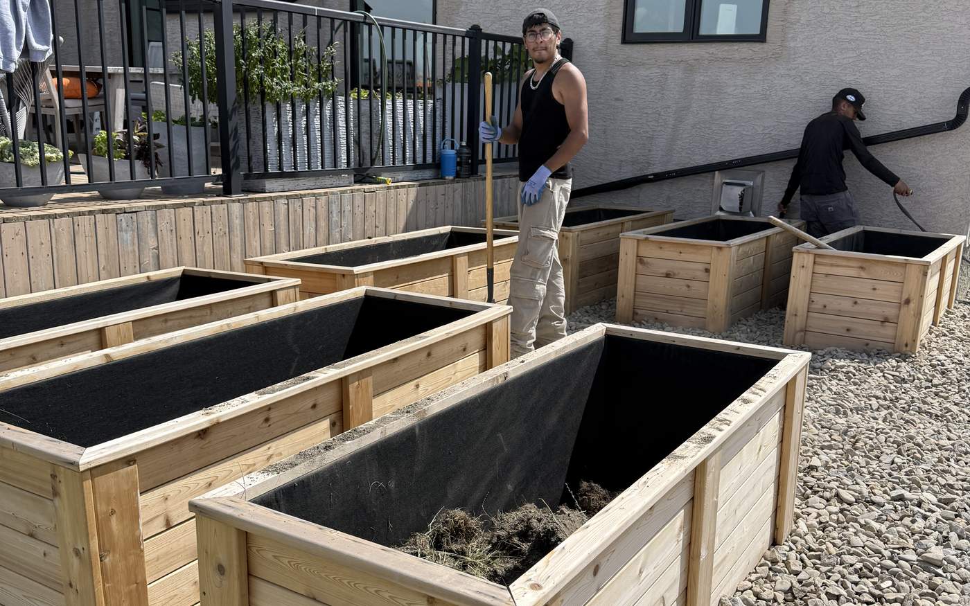 Newly built raised cedar garden beds on a gravel base, freshly filled with soil at a Calgary-area property