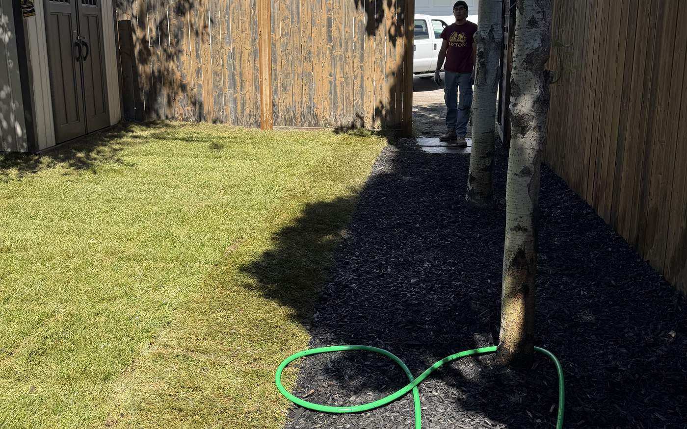 Freshly mulched garden bed in Calgary with a crisp re-cut edge