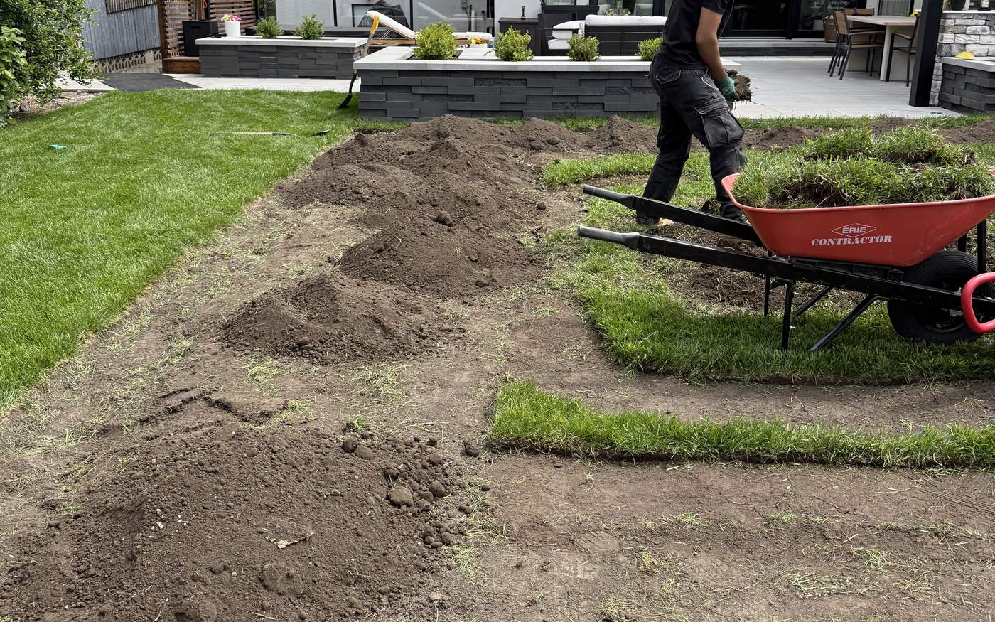 Fresh nursery sod rolls staged on a graded, prepped base in Calgary before laying